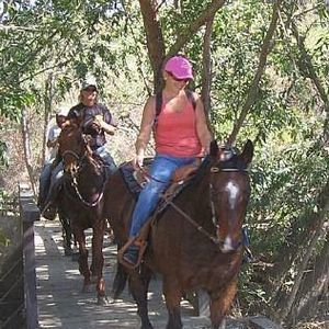 Meet your Posher, Leslie